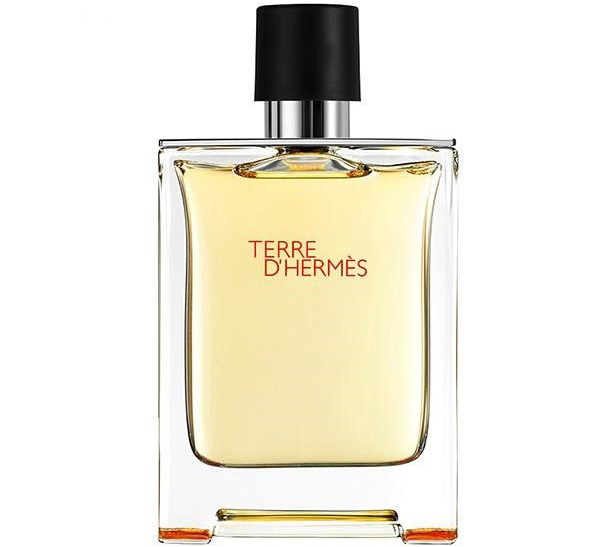 hermes terre de hermes edt 100ml ادکلن تق هرمس ادوتویلت