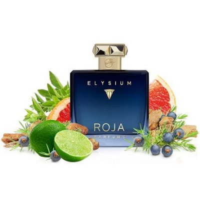 roja elysium pour homme 100ml 3