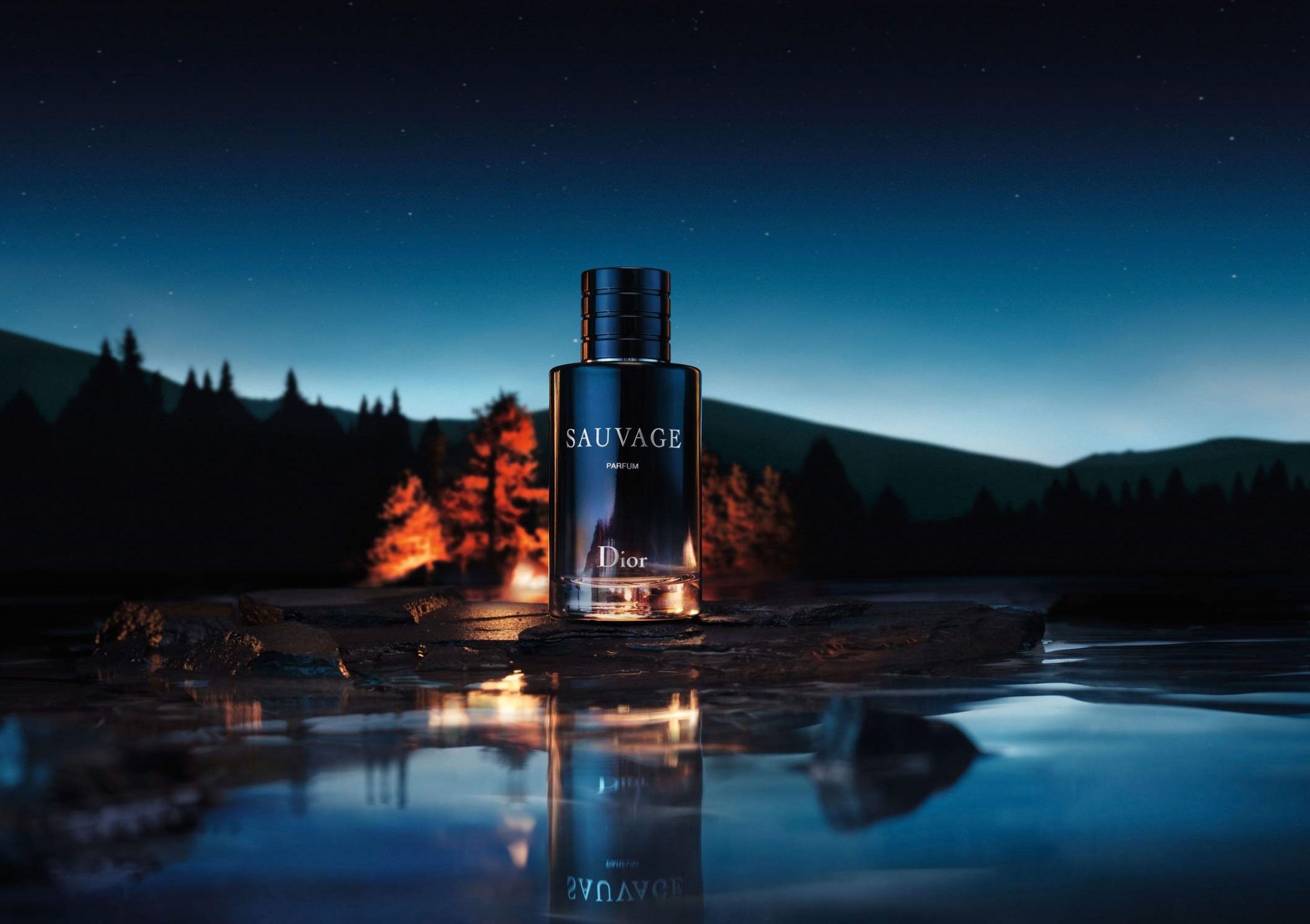 SAUVAGE PARFUM1