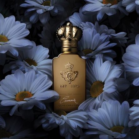 No1 Twist Chamomile (2)