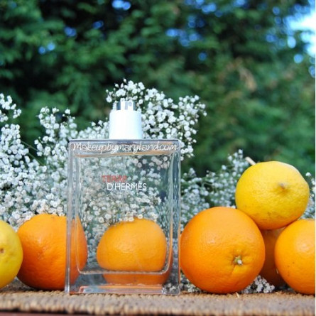 Terre-d-Hermes-Eau-Tres-Fraiche-125-ml-men