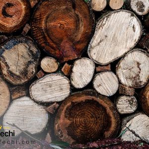 معرفی گروه بویایی چوبی