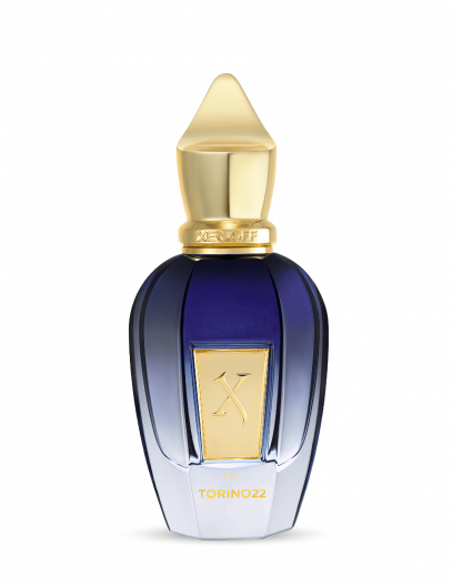 torino22