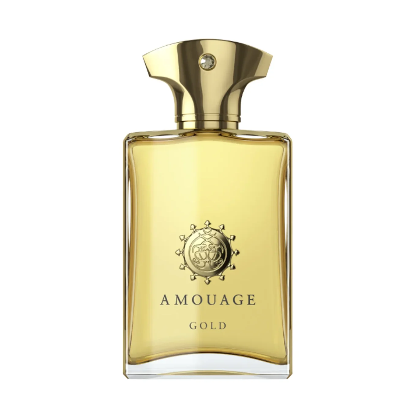 MODEL-IMAGE-2023-03-28T155525.249 عطر آمواژ گلد پور هوم